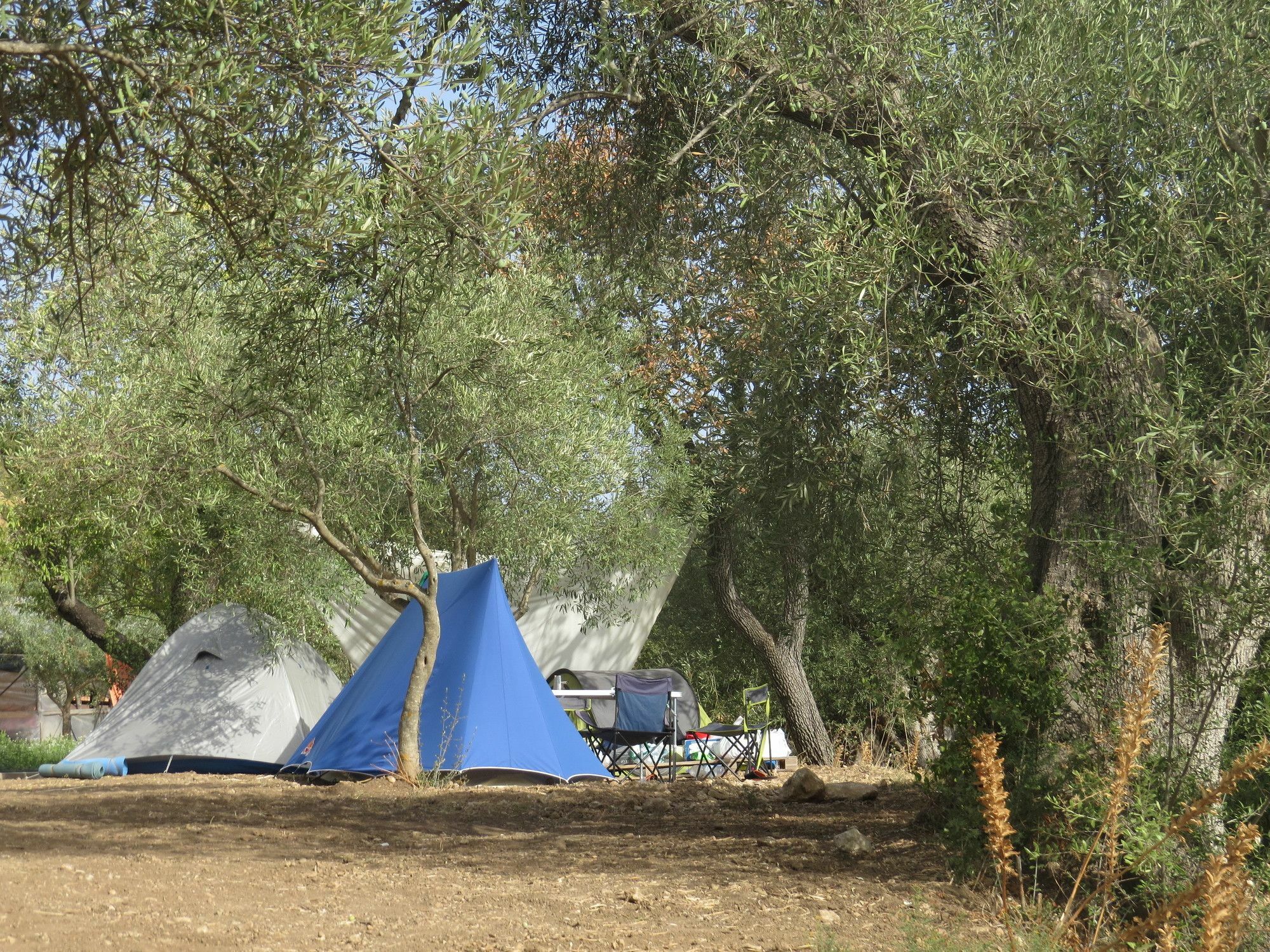 Camping Fiori Di Noto Hotell Eksteriør bilde